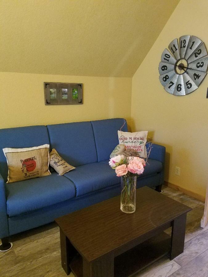 Cabin Sweet Cabin Canyon Lake Εξωτερικό φωτογραφία