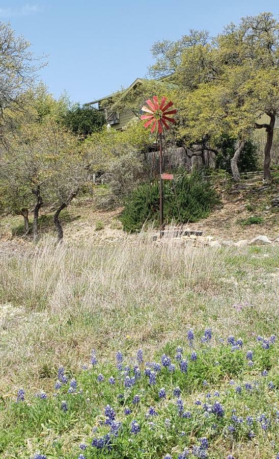 Cabin Sweet Cabin Canyon Lake Εξωτερικό φωτογραφία