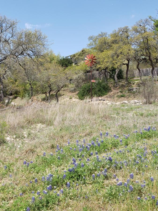 Cabin Sweet Cabin Canyon Lake Εξωτερικό φωτογραφία